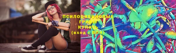 прущая мука Кулебаки