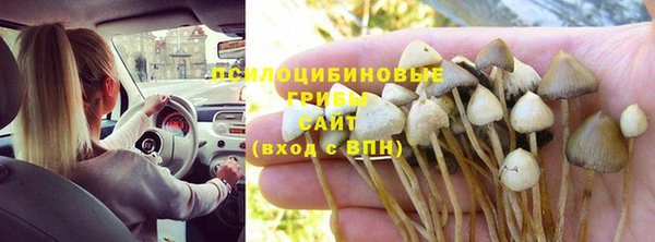 героин Кукмор