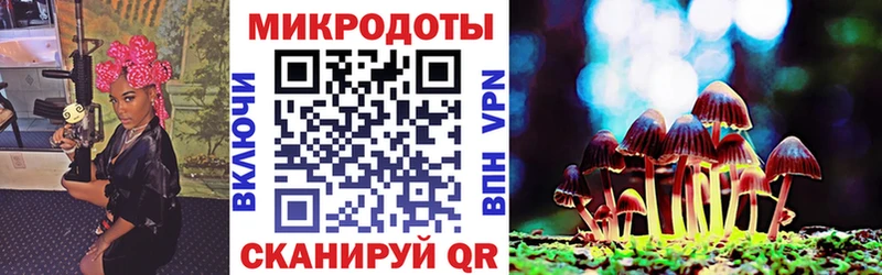 Псилоцибиновые грибы прущие грибы  даркнет сайт  Стародуб 